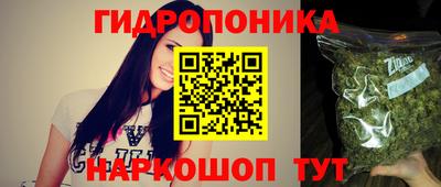 mdpv Можга
