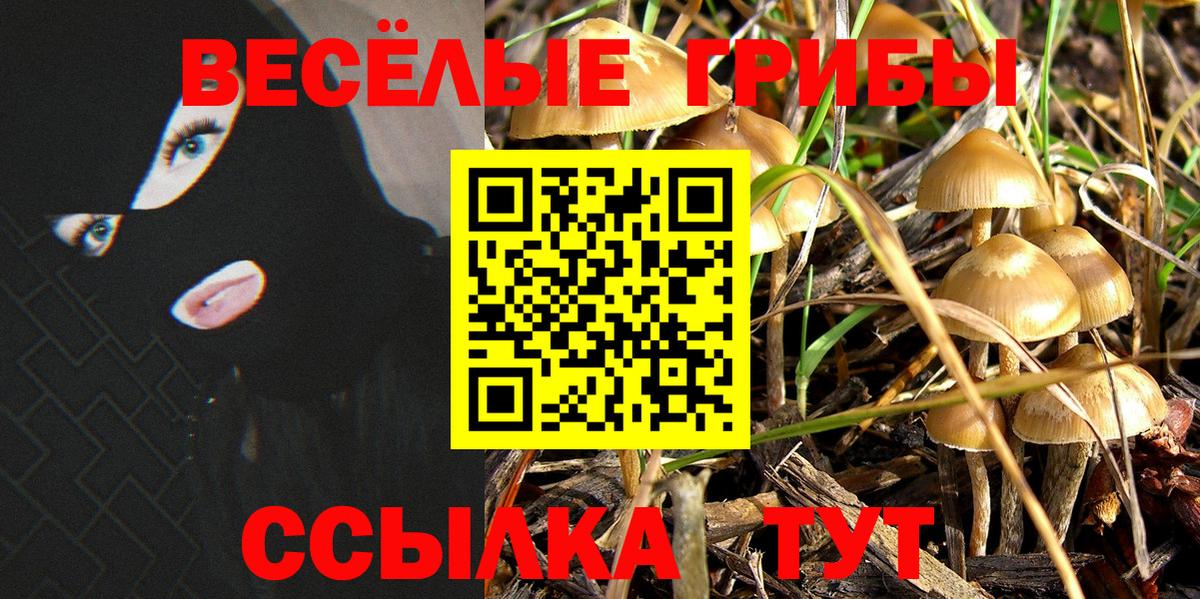 Псилоцибиновые грибы Magic Shrooms  Вход с VPN  Галлюциногенные грибы Cubensis  Учалы 