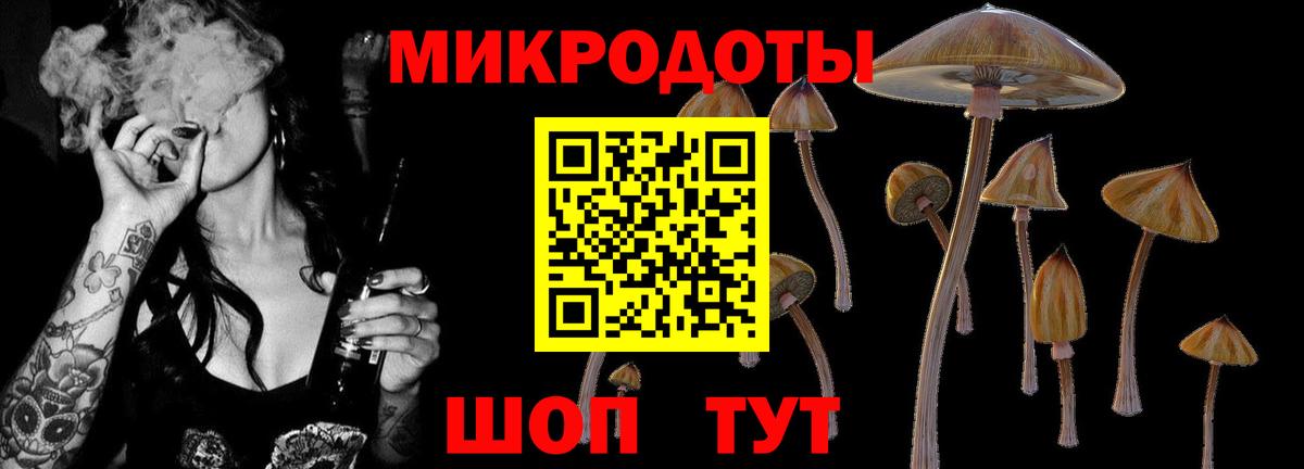 Галлюциногенные грибы Cubensis Учалы
